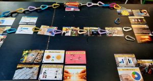 La Fresque du Plastique,articles,vidéos,interviews,podcasts,couverture médiatique